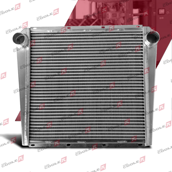 Intercooler Mwm 6.10t/tca Motor Estacionário 1950 A 2011